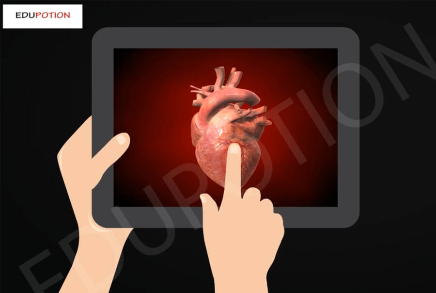 Augmented Reality