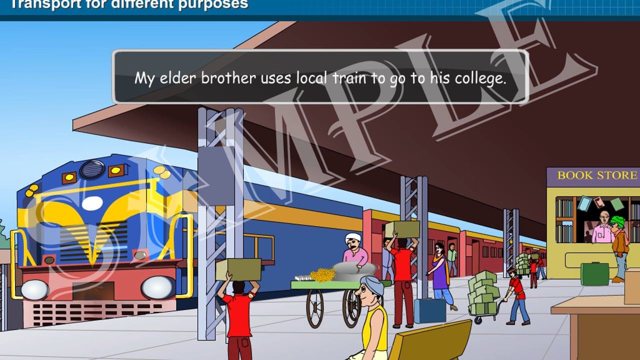 Transport for Different Purposes